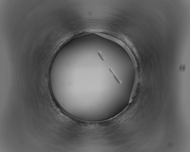 X0000090460385200708031246