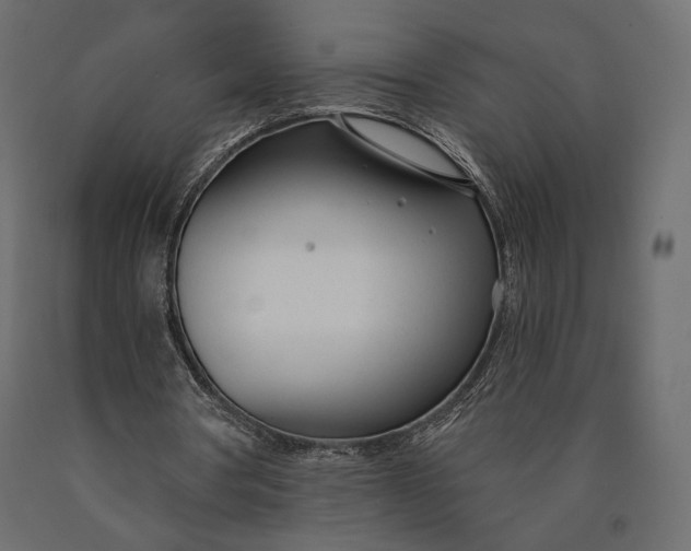 X0000090460386200708031246