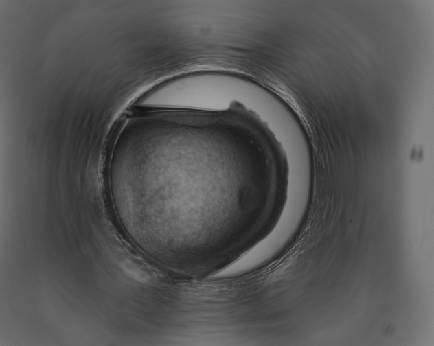X0000090460387200708031246