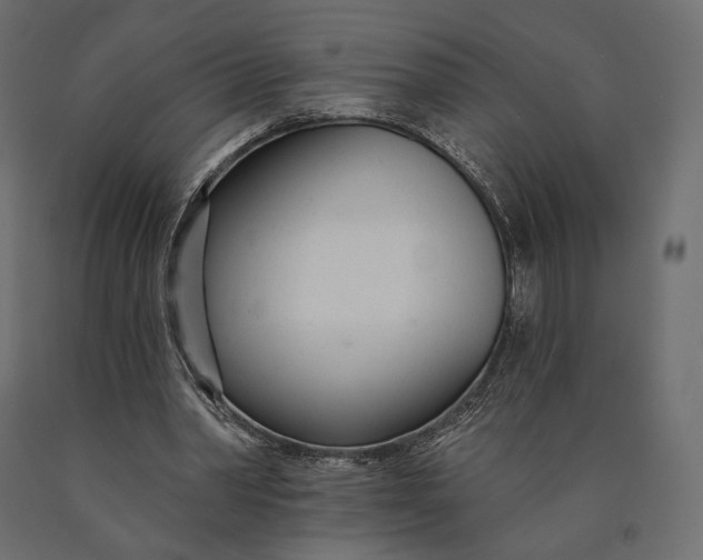 X0000090460390200708031246