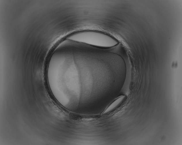 X0000090460391200708031246