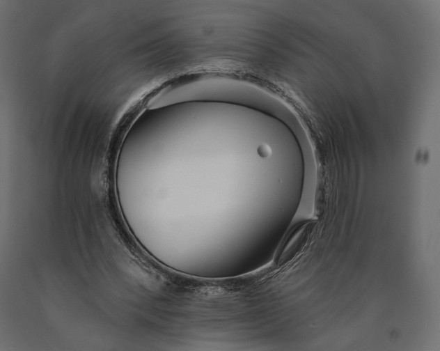 X0000090460392200708031246