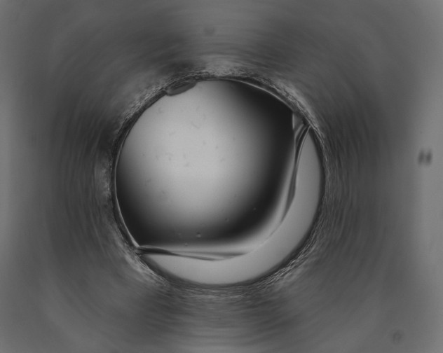 X0000090460393200708031246