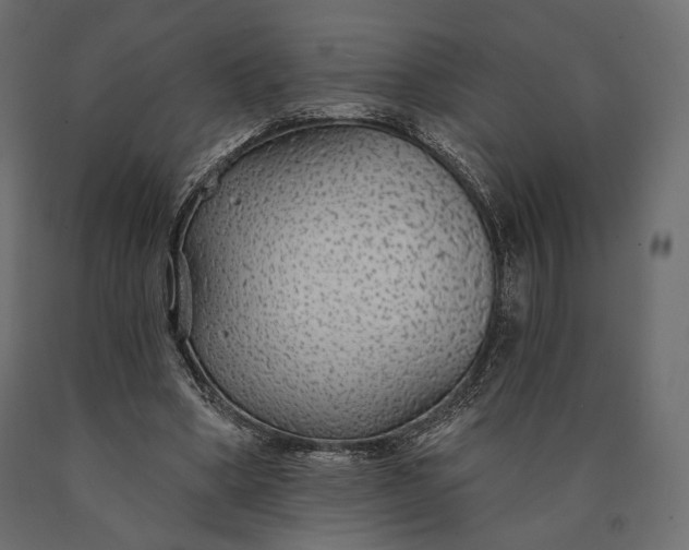 X0000090460394200708031246