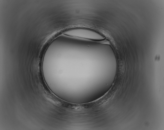 X0000090460395200708031246