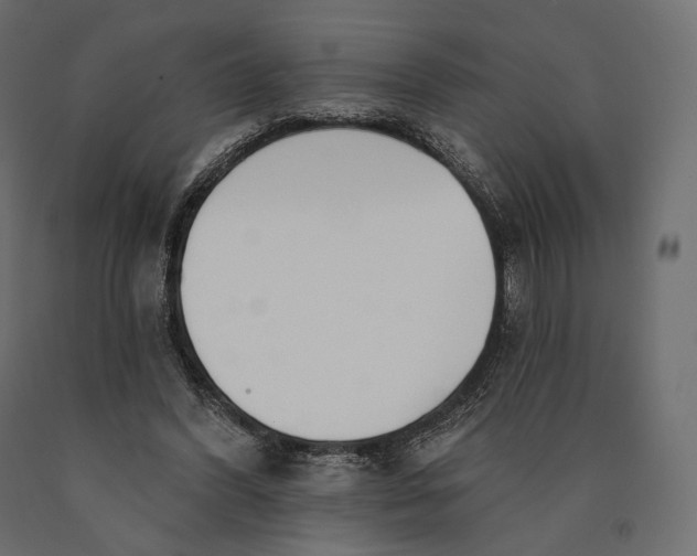 X0000090460396200708031246