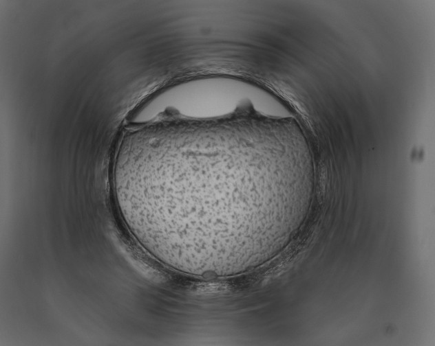X0000090460398200708031246