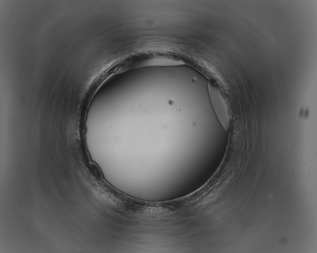 X0000090460399200708031246