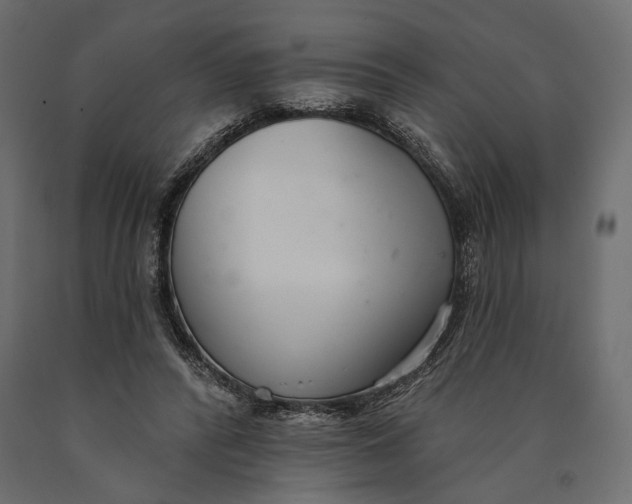 X0000090460400200708031246