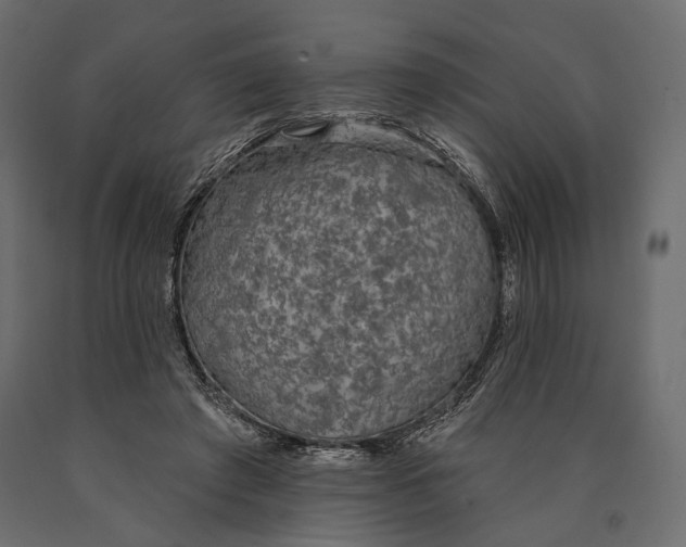X0000090460401200708031246