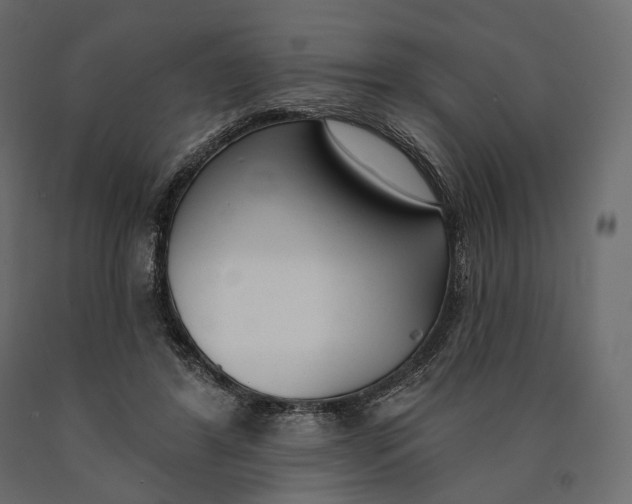 X0000090460404200708031246