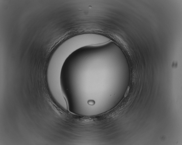 X0000090460405200708031246