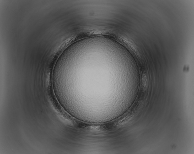 X0000090460406200708031246