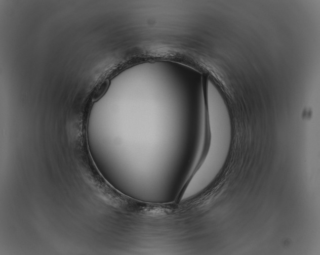 X0000090460407200708031246