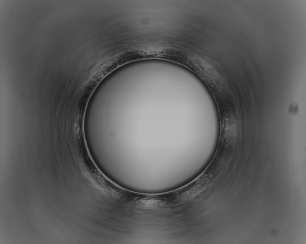 X0000090460408200708031246