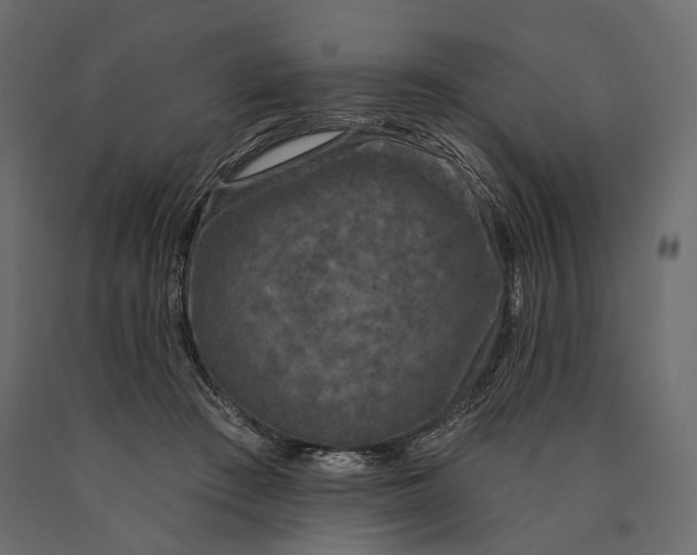 X0000090460409200708031246