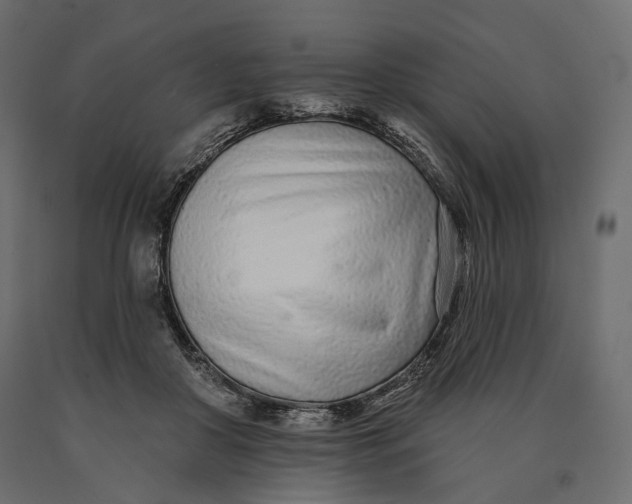 X0000090460410200708031246