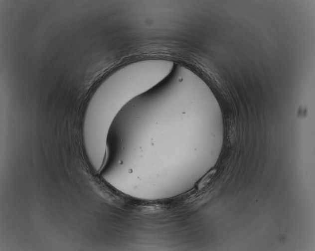 X0000090460411200708031246