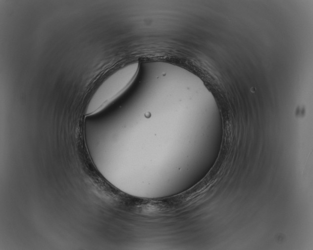 X0000090460412200708031246