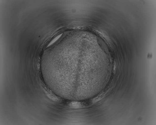 X0000090460413200708031246