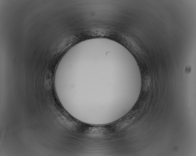 X0000090460414200708031246