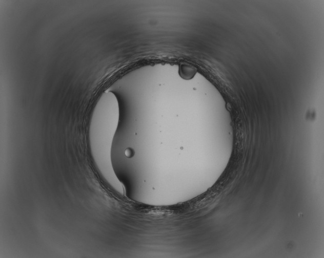 X0000090460415200708031246