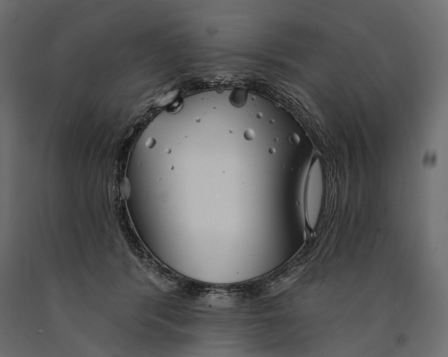 X0000090460416200708031246