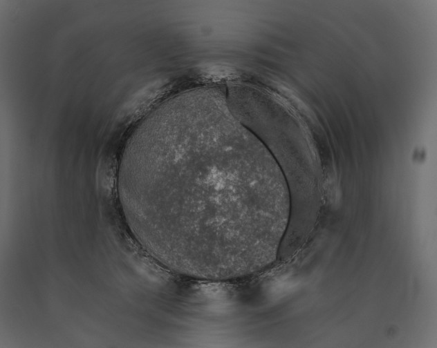 X0000090460417200708031246