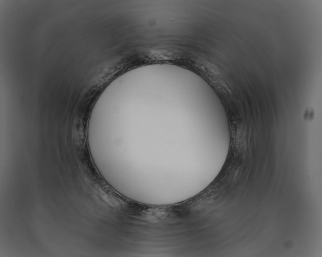 X0000090460418200708031246