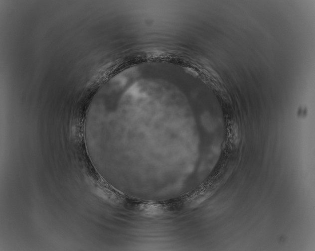 X0000090460419200708031246