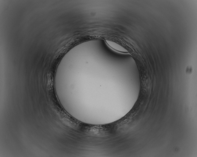 X0000090460420200708031246