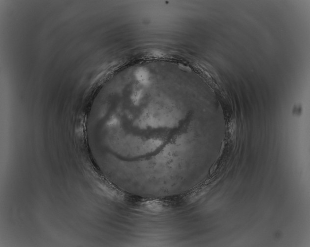 X0000090460423200708031246