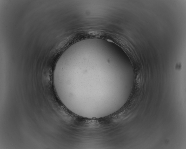 X0000090460424200708031246