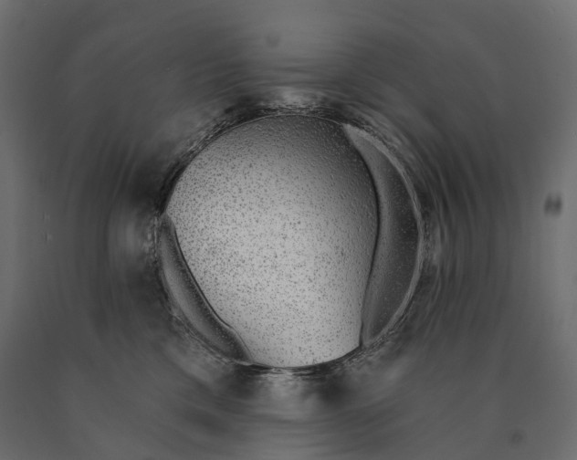 X0000090460425200708031245