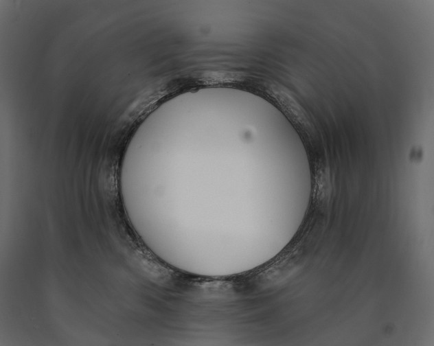 X0000090460426200708031245