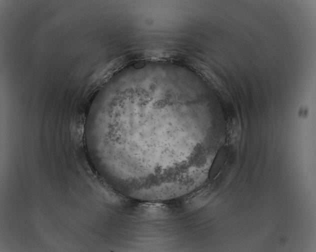 X0000090460427200708031245