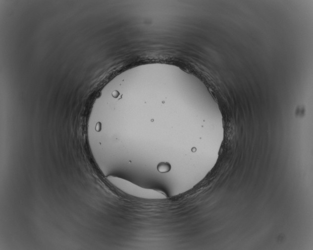 X0000090460428200708031245