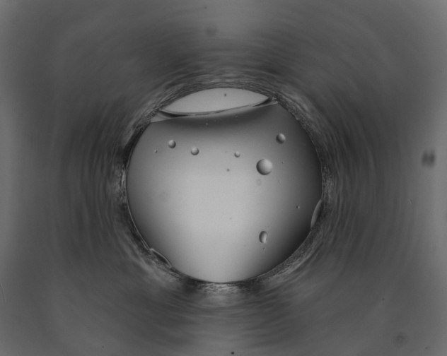 X0000090460429200708031245