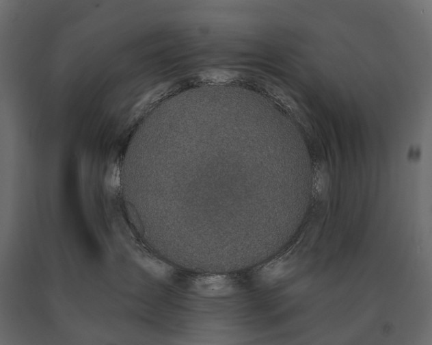 X0000090460431200708031245