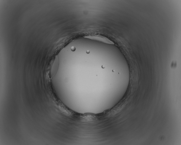 X0000090460432200708031245