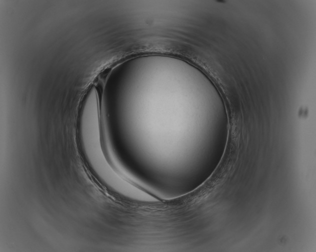 X0000090460434200708031245