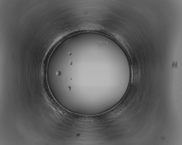 X0000090460435200708031245
