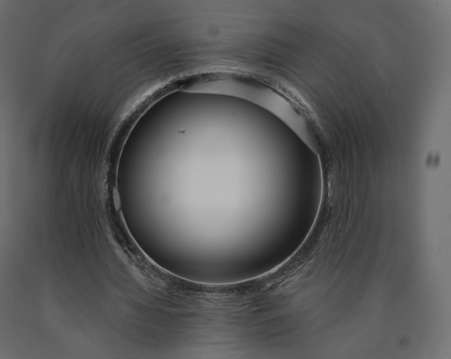 X0000090460436200708031245