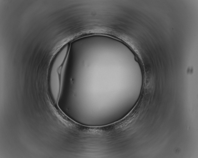 X0000090460437200708031245