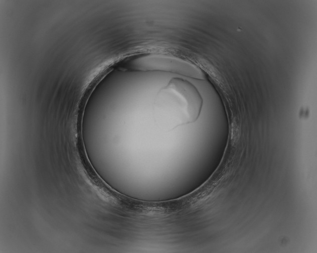 X0000090460438200708031245
