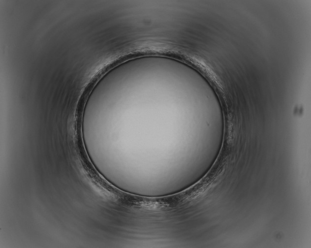X0000090460439200708031245