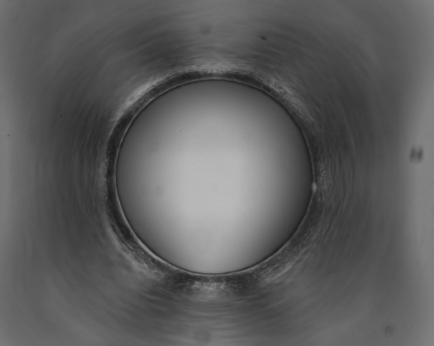 X0000090460440200708031245