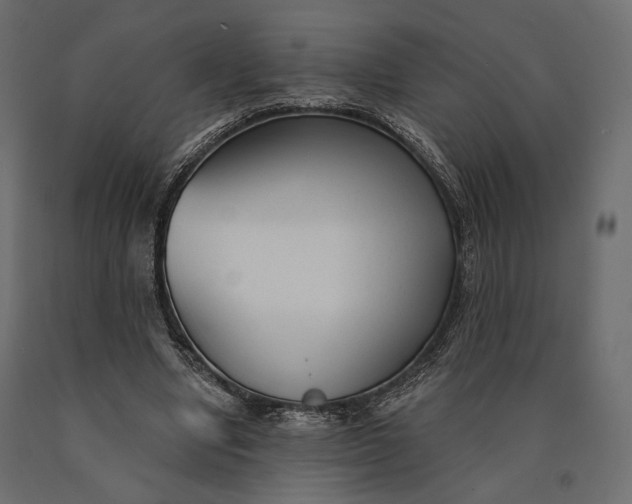 X0000090460442200708031245