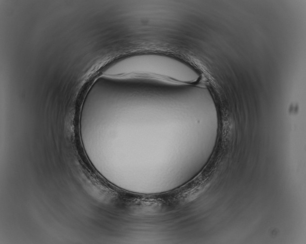 X0000090460443200708031245