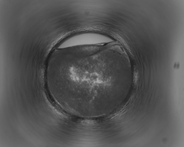 X0000090460444200708031245